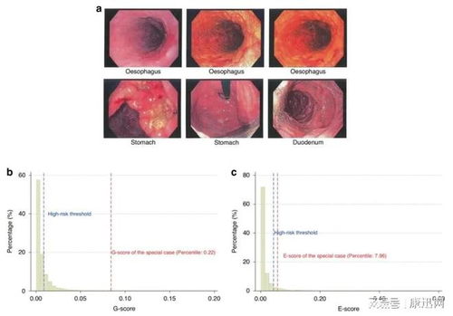 �����ܳԴ��� �����ܲ��ܳԴ�