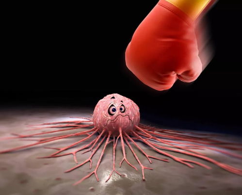 肿瘤病人吃哪些鱼好一些 肿瘤病人吃哪些鱼好一些