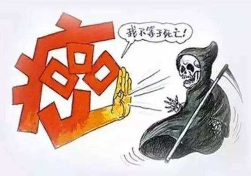 ����׵���������а취��