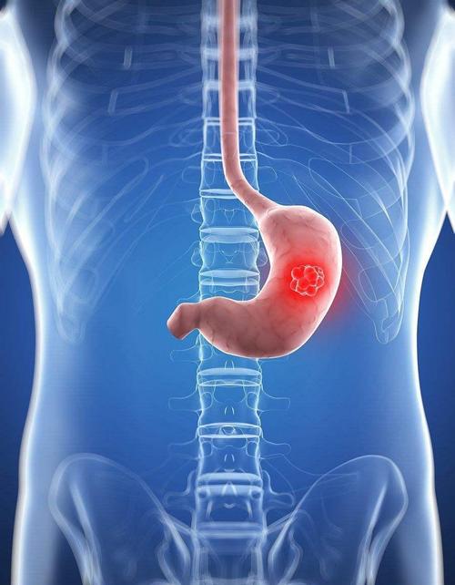 主持人胡蝶_主持人胡蝶老公 主持人胡蝶_主持人胡蝶老公