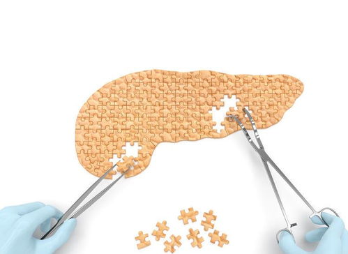 ����������ҽ������ ����������ҽ����