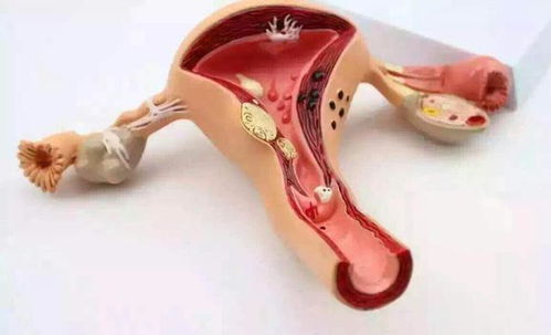 倪妮全剧组都听到了文 倪妮全剧组都听到了文