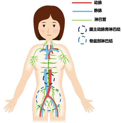 肿瘤药入医保 2020年7月1日起3种肿瘤药进医保 肿瘤药入医保 2020年7月1日起3种肿瘤药进医保