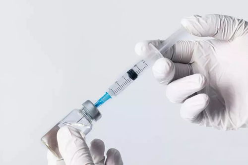 ʳ������������ת����