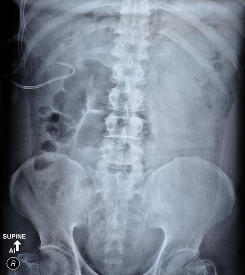 ����������һ����ҽԺ