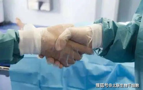 集结号演员 集结号演员表名单 集结号演员 集结号演员表名单