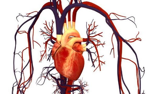 陈凯歌个人资料简介国 陈凯歌个人资料简介国