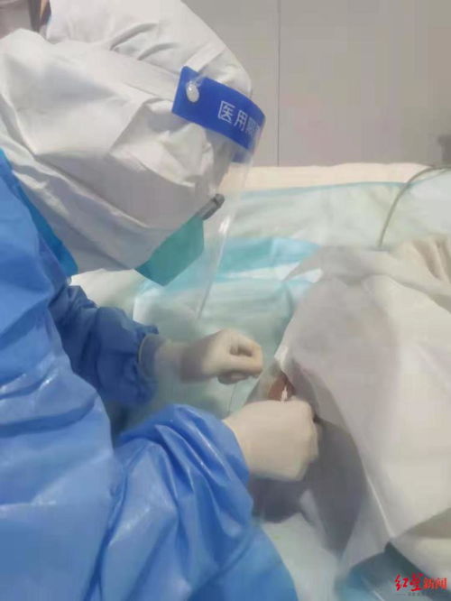 �������߿��Ժ�ţ����