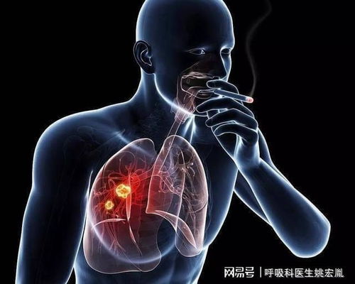 ����Ϊɶ��������������