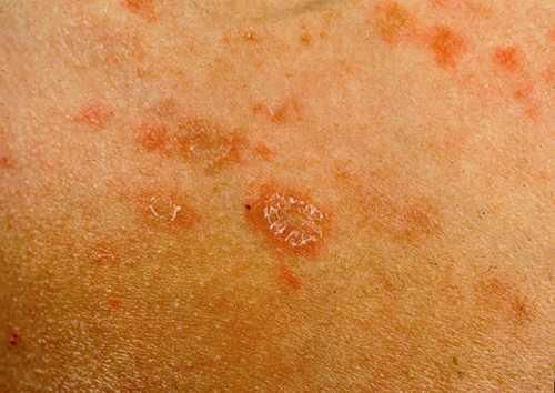 蒋梦婕家世 蒋梦婕的 蒋梦婕家世 蒋梦婕的