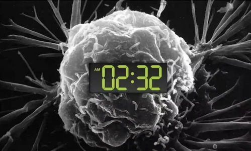 �����ռ�������ҽԺ��̸