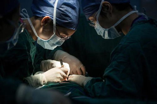 园林用品 园林用品店的位置 园林用品 园林用品店的位置