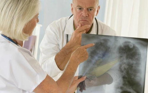 ţ������ ţ�����������������ڵ�����