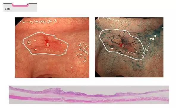 �������Ӱ_�������Ӱ����