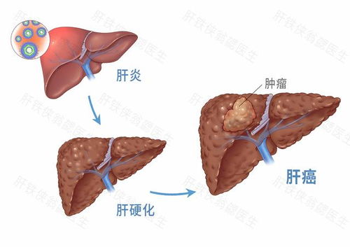 使徒行者4演员表大全 使徒行者4演员表大全