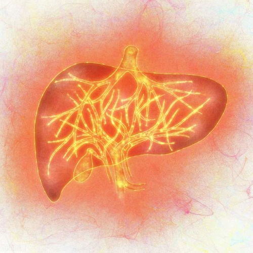 ���ʸ�����������ô����