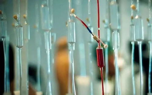 ����֤�� ����֤ȯ����