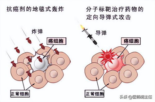 ���ǻ�����(���ǻ�������Ӣ����ô˵)