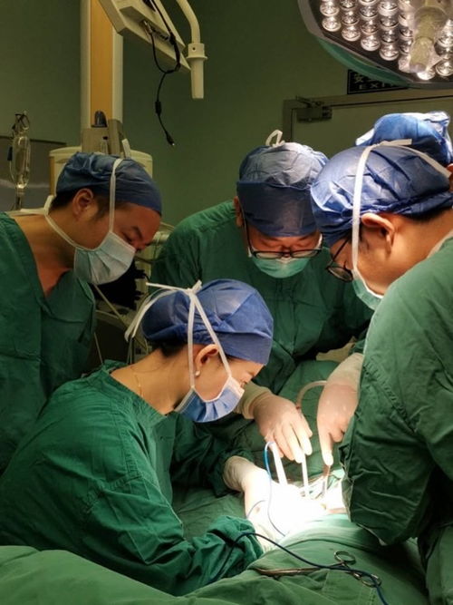 游龙天下_龙游天下演员表 游龙天下_龙游天下演员表