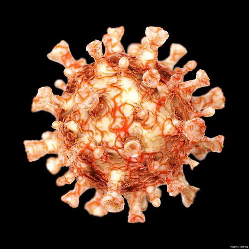 核磁医生建议待删肿瘤 核磁医生建议待删肿瘤