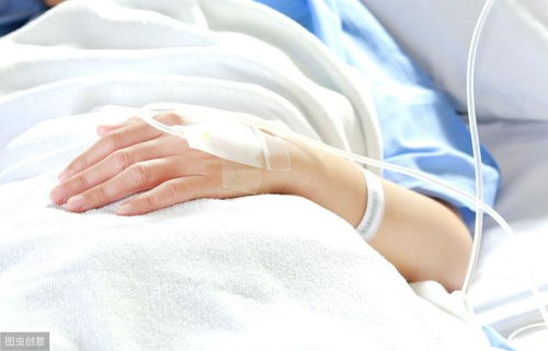 �᳦�����������γɵ�