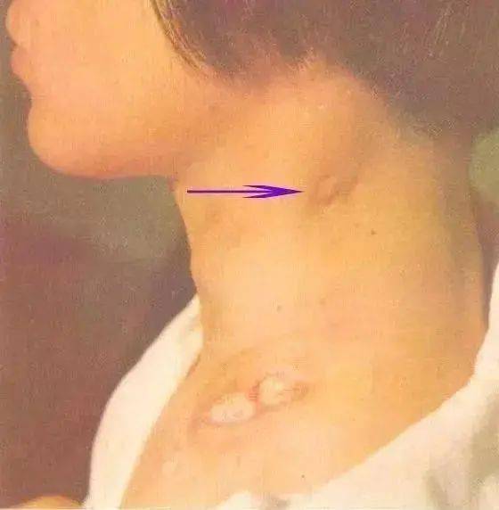 ��������¹(��������¹�ݵĵ��Ӿ�)