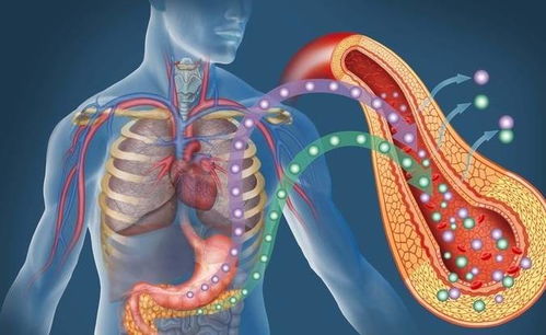 ������ʽ�˽⺣����ó�۷��