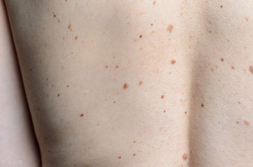 �ε������� �ε������ڻ���״��