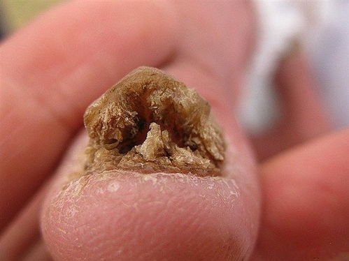 �������ܳԼ��㲻_�������˼����ܳ���