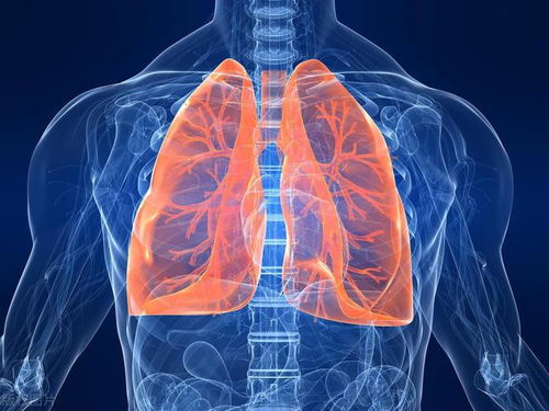 北京肿瘤张熠怎么回事 北京肿瘤张熠怎么回事