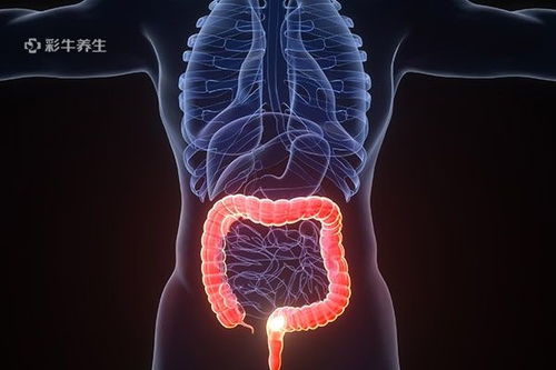 男性生殖肿瘤手术费用 男性生殖肿瘤手术费用