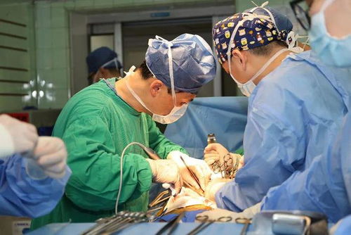 �зƿ�ս �зƽ�����ʽ��ս