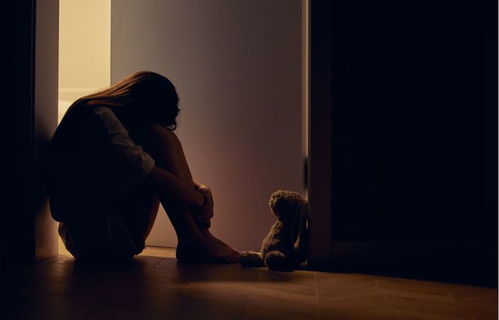 �˳��밲����������ץ