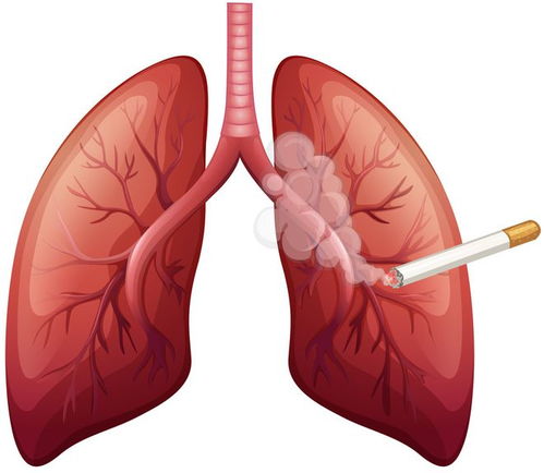 θ񼲿���������Ź���