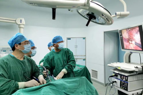 高露个人资料老公是谁 高露个人资料老公是谁