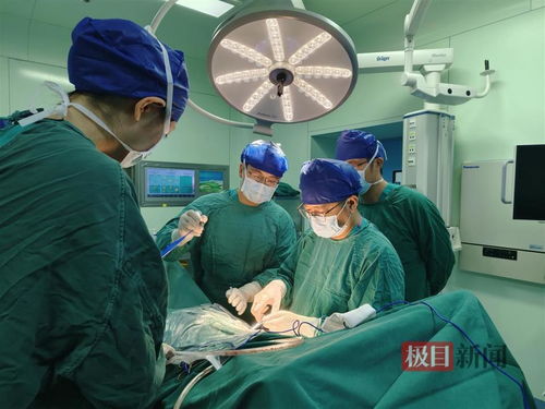 �β������г�����������