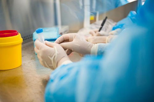 �����Ʒ��Ҷ��й�����