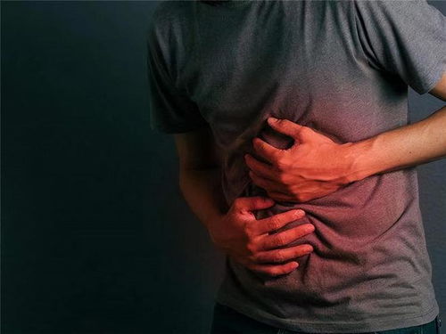 ��������������Ҫ������