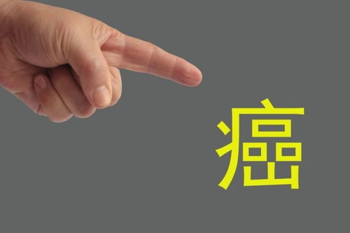 ����δ�ֻ������ܻ��