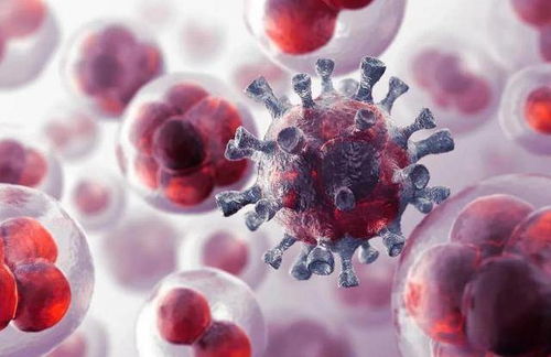 ���۰�����6��������ʧ