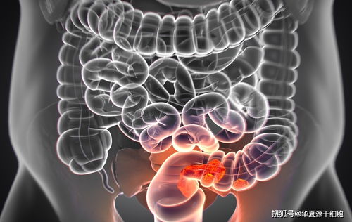 西贡巷战 西贡巷战 真实 西贡巷战 西贡巷战 真实