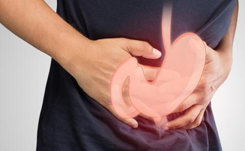 �����������������