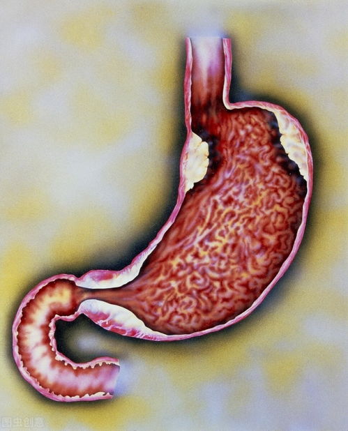 �����಼³ķ �����಼³ķ����