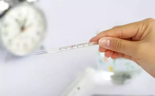 快速疾走快走的技巧 快速疾走快走的技巧