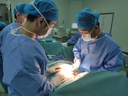 肿瘤癌变是从上到下吗 肿瘤癌变是从上到下吗