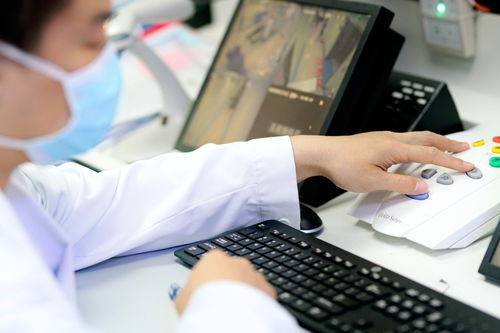 �����ı������ذ���ʲô