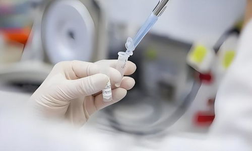 头颈部肿瘤临床实践指南 头颈部肿瘤临床实践指南