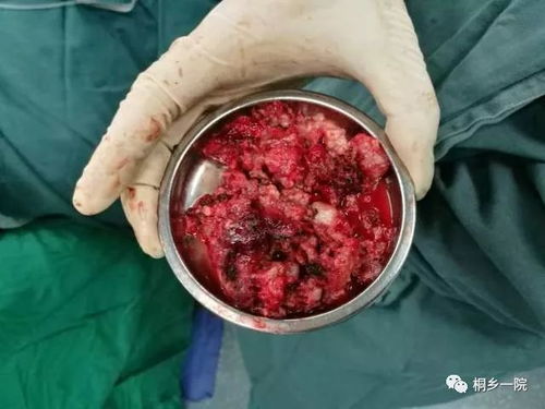 山猫和吉咪 山猫和吉咪之快乐篇 山猫和吉咪 山猫和吉咪之快乐篇