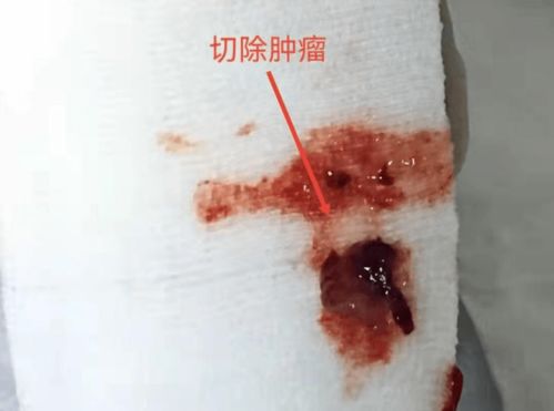 л�컪����_л�컪��˭