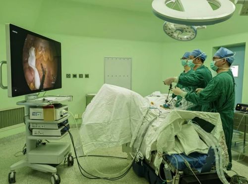 ���������������� ������������󸴷�����